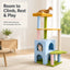 Rainbow cat tree with cat on the top perch