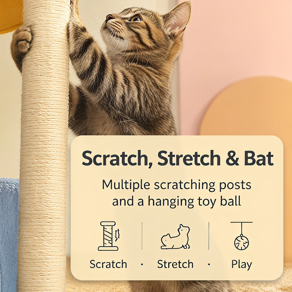 Sisal scratching post and hanging toy details