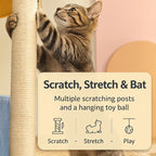 Sisal scratching post and hanging toy details