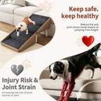 Small pet climbing toward sofa
