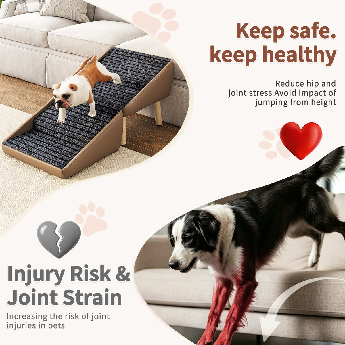 Small pet climbing toward sofa