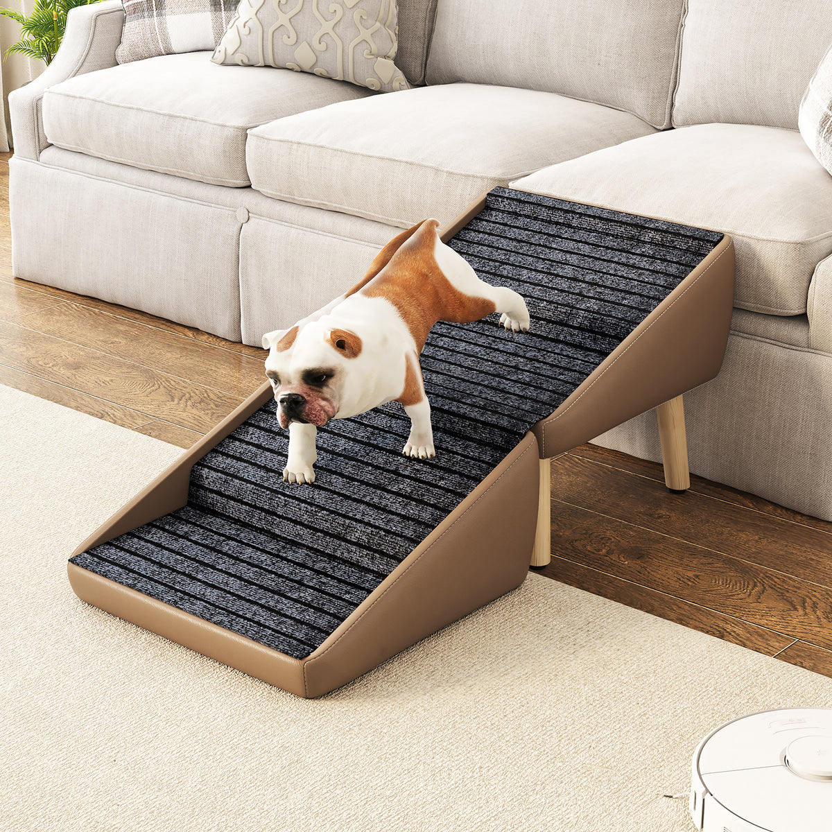 Front view of dog using pet stairs