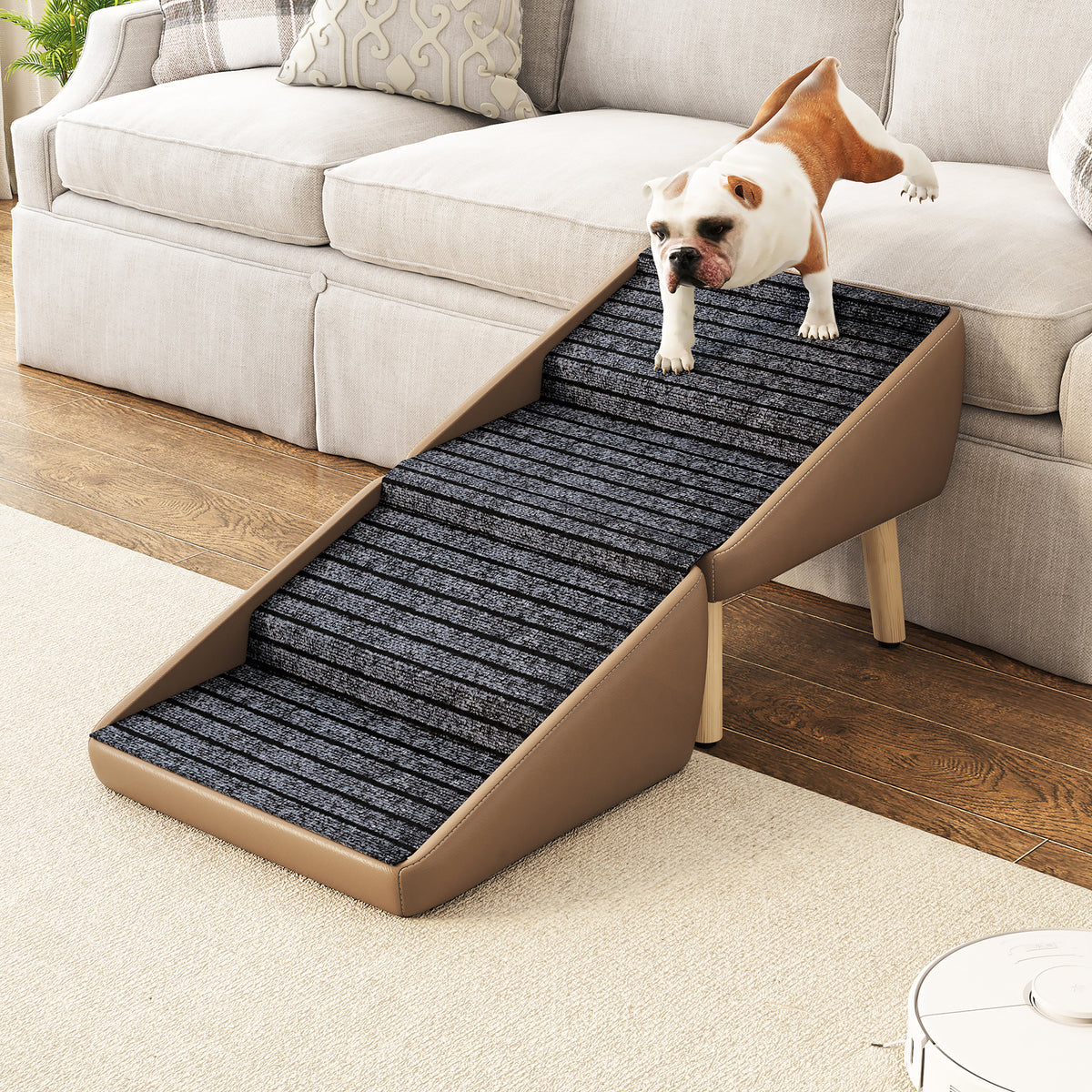 Dog approaching furniture on pet stairs