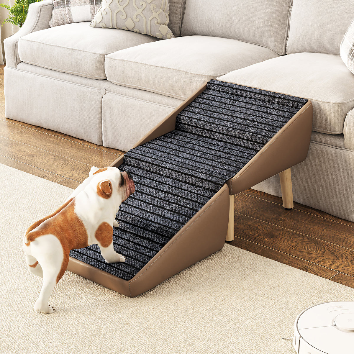 Dog beside extended pet stairs