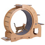 Cat running on the exercise wheel