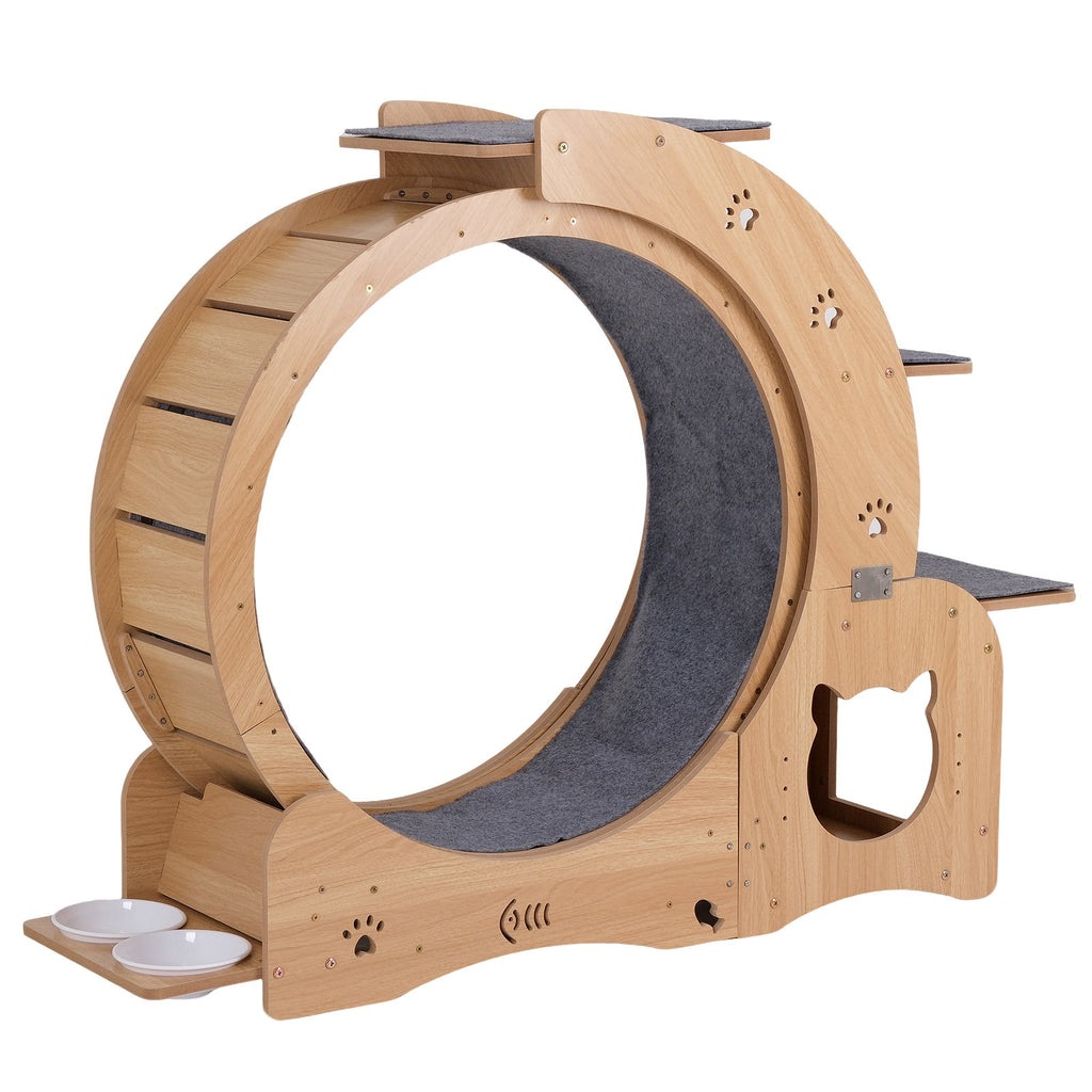 Cat exercise wheel angled view