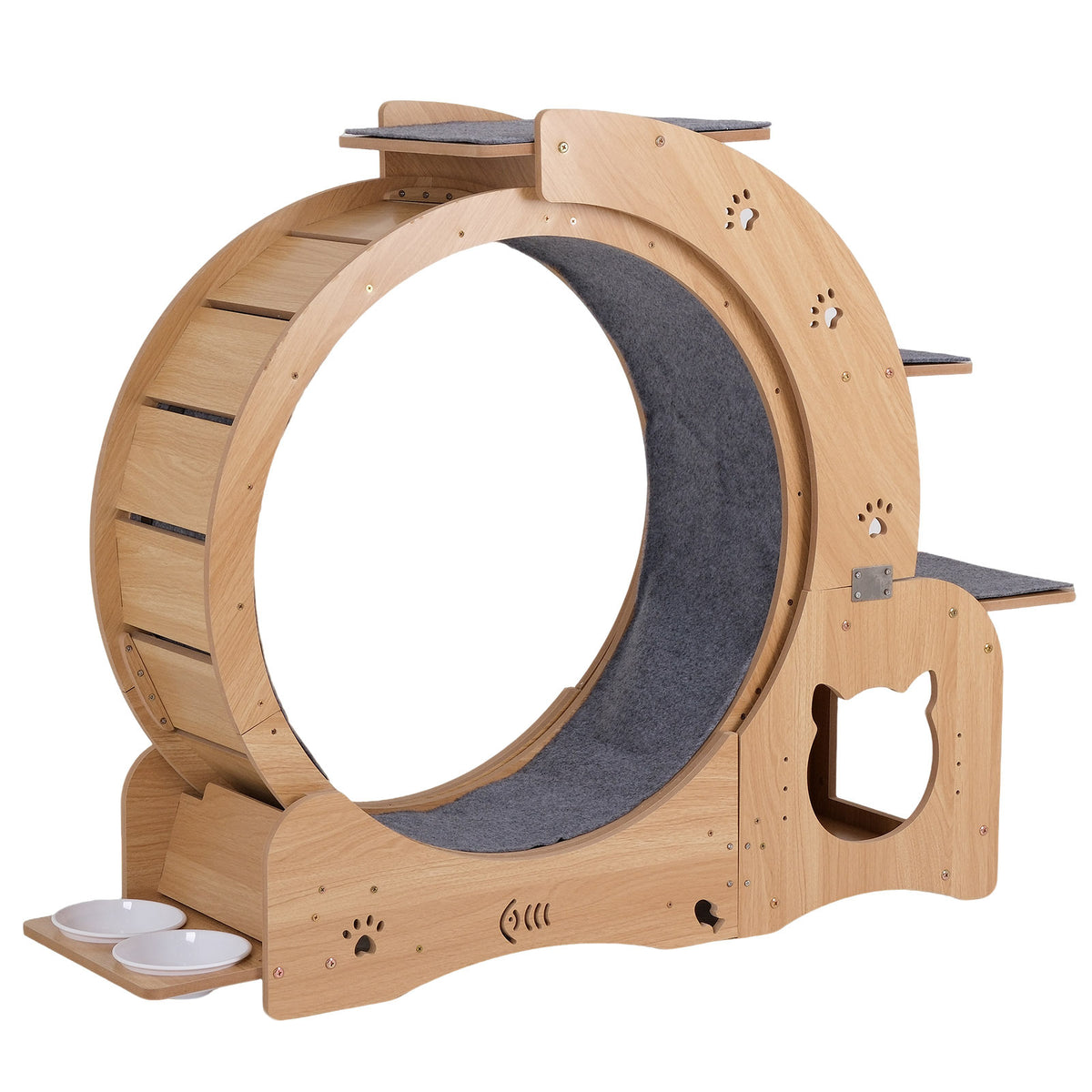 Cat exercise wheel angled view