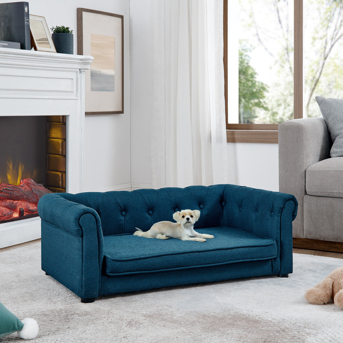 Dog resting on blue upholstered sofa