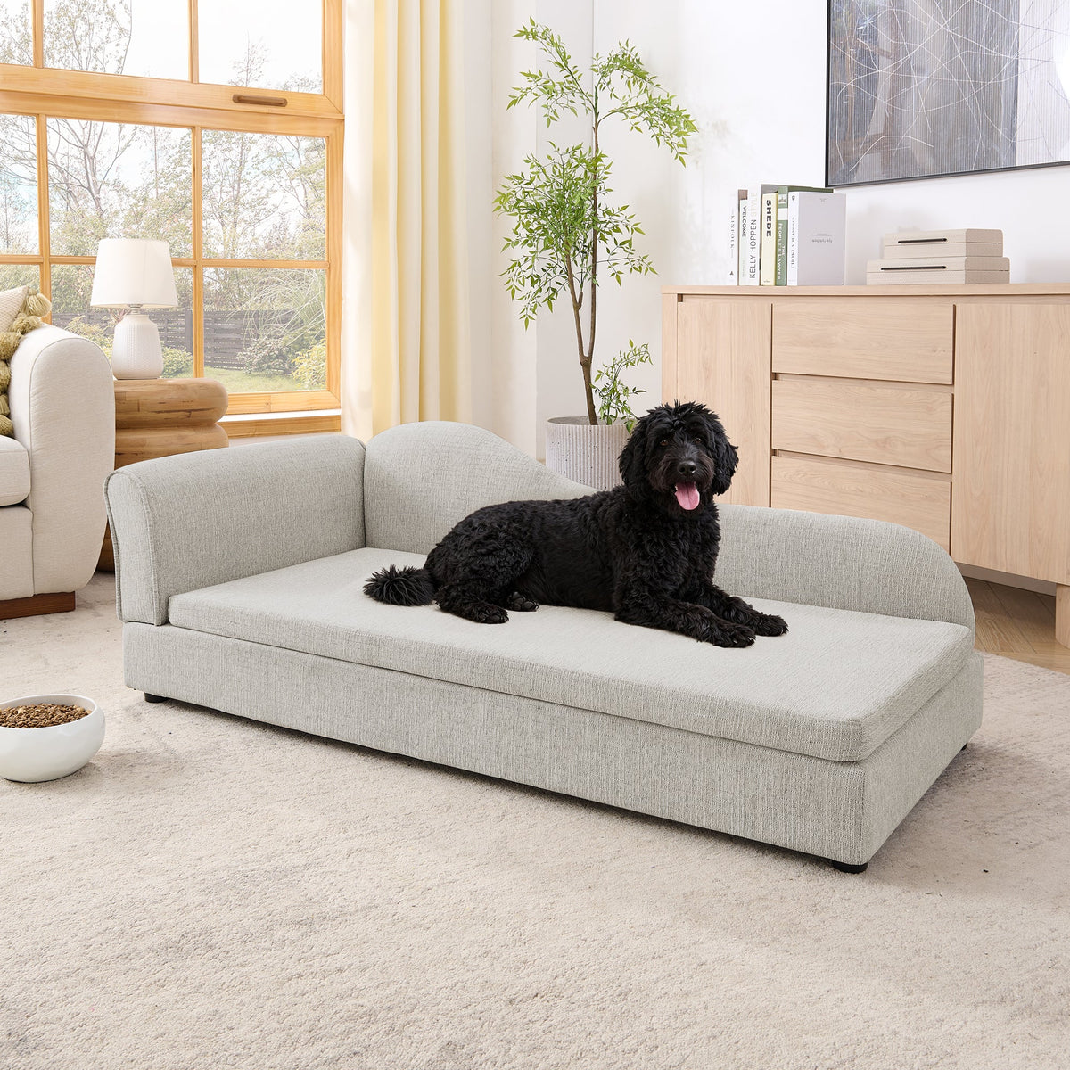 Beige upholstered dog sofa — small dog on sofa