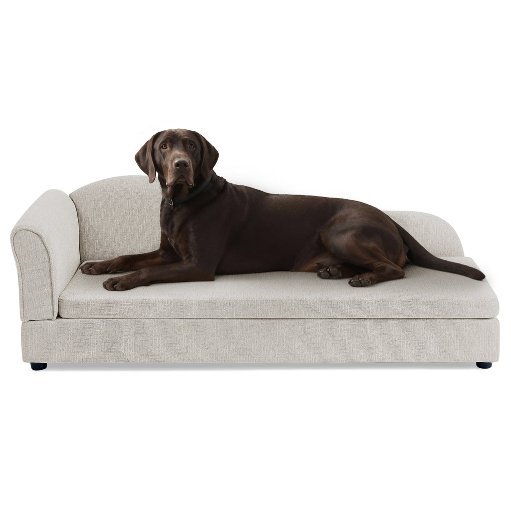 Beige upholstered dog sofa — dog fit illustration