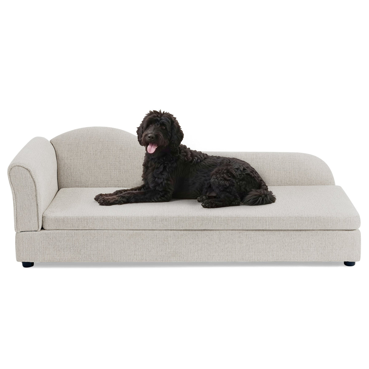 Beige upholstered dog sofa — dog on upholstered sofa
