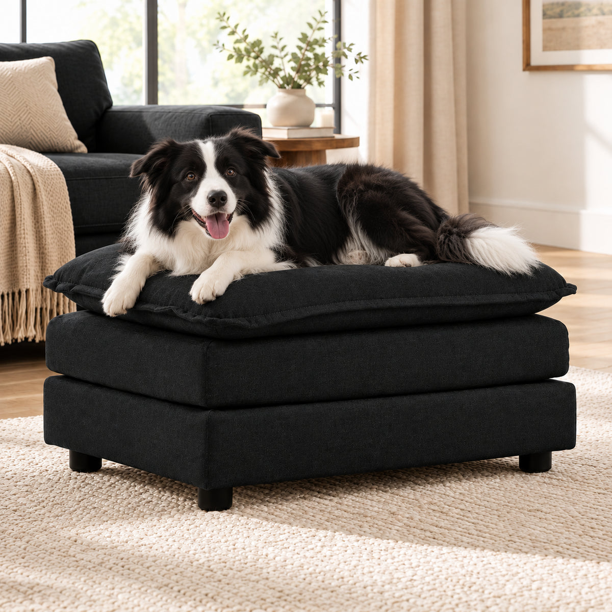 Black Chenille Cushioned Ottoman — with a dog in a living room