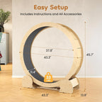 Natural Wood Cat Exercise Wheel with Felt Track — wheel dimensions