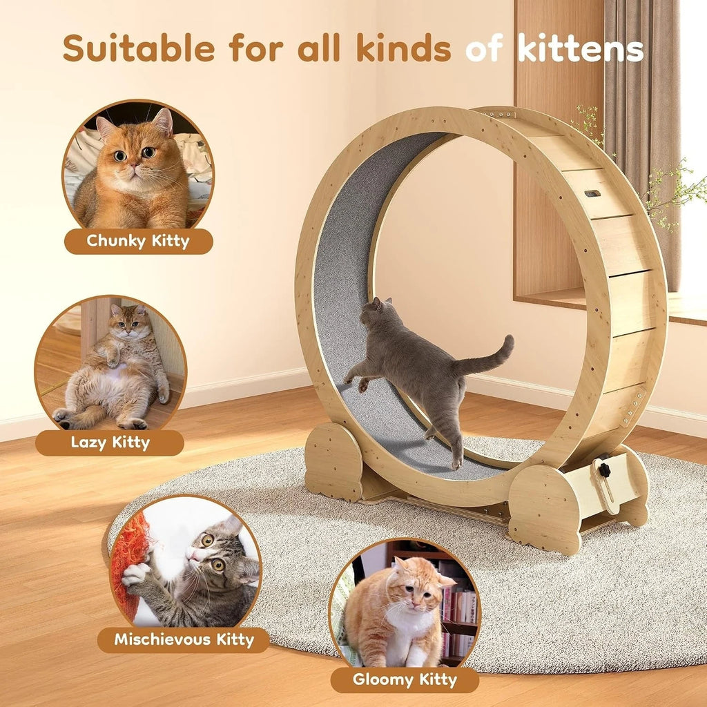 Natural Wood Cat Exercise Wheel with Felt Track — indoor exercise features