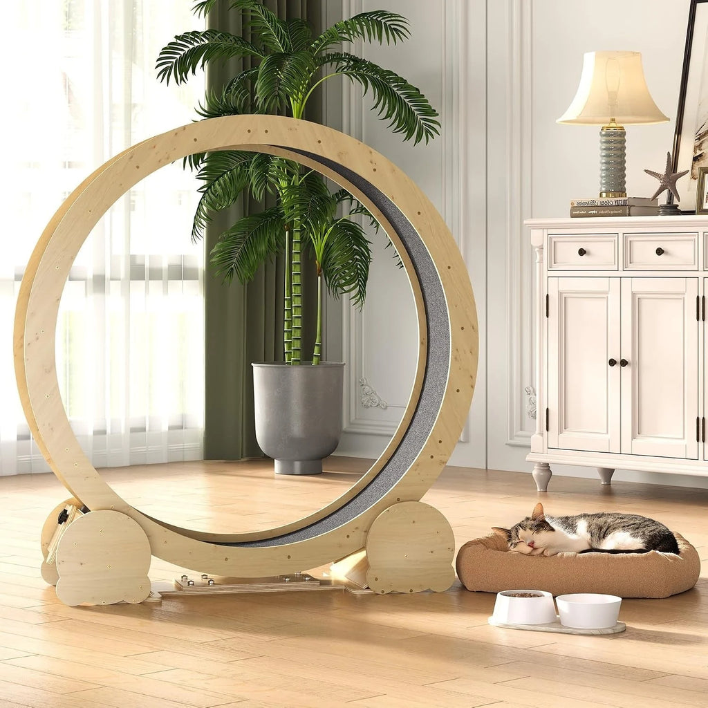 Natural Wood Cat Exercise Wheel with Felt Track — wheel in a bright room