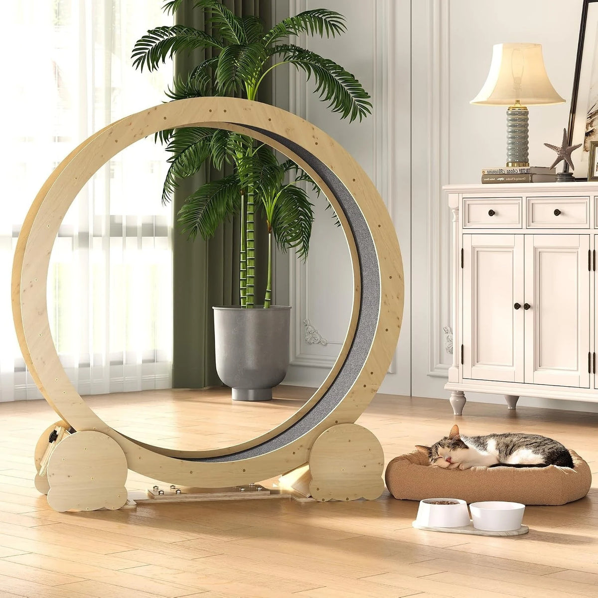 Natural Wood Cat Exercise Wheel with Felt Track — wheel in a bright room
