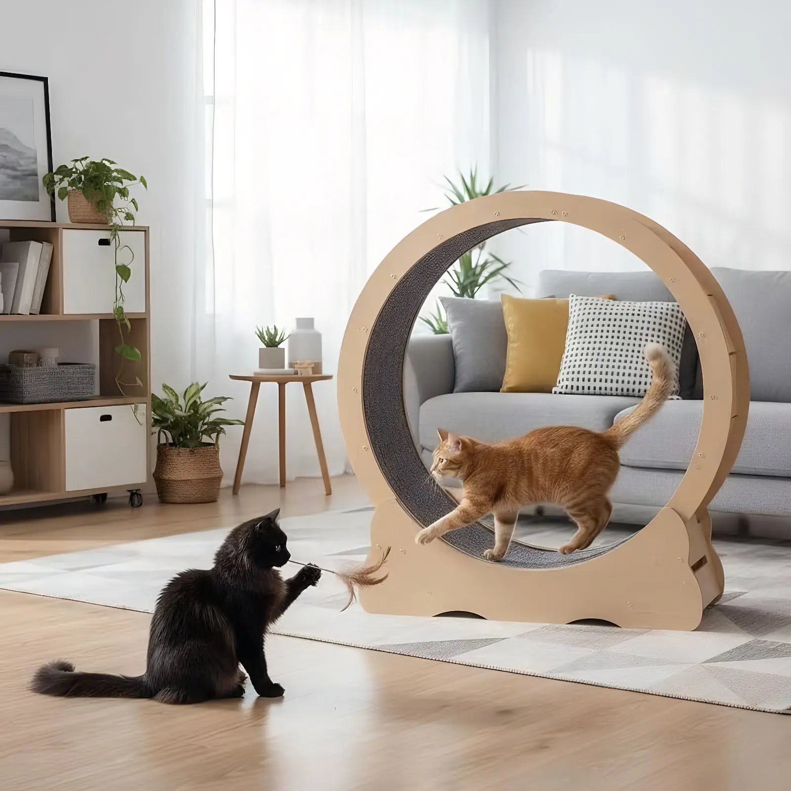 Natural wood cat exercise wheel with detachable running carpet
